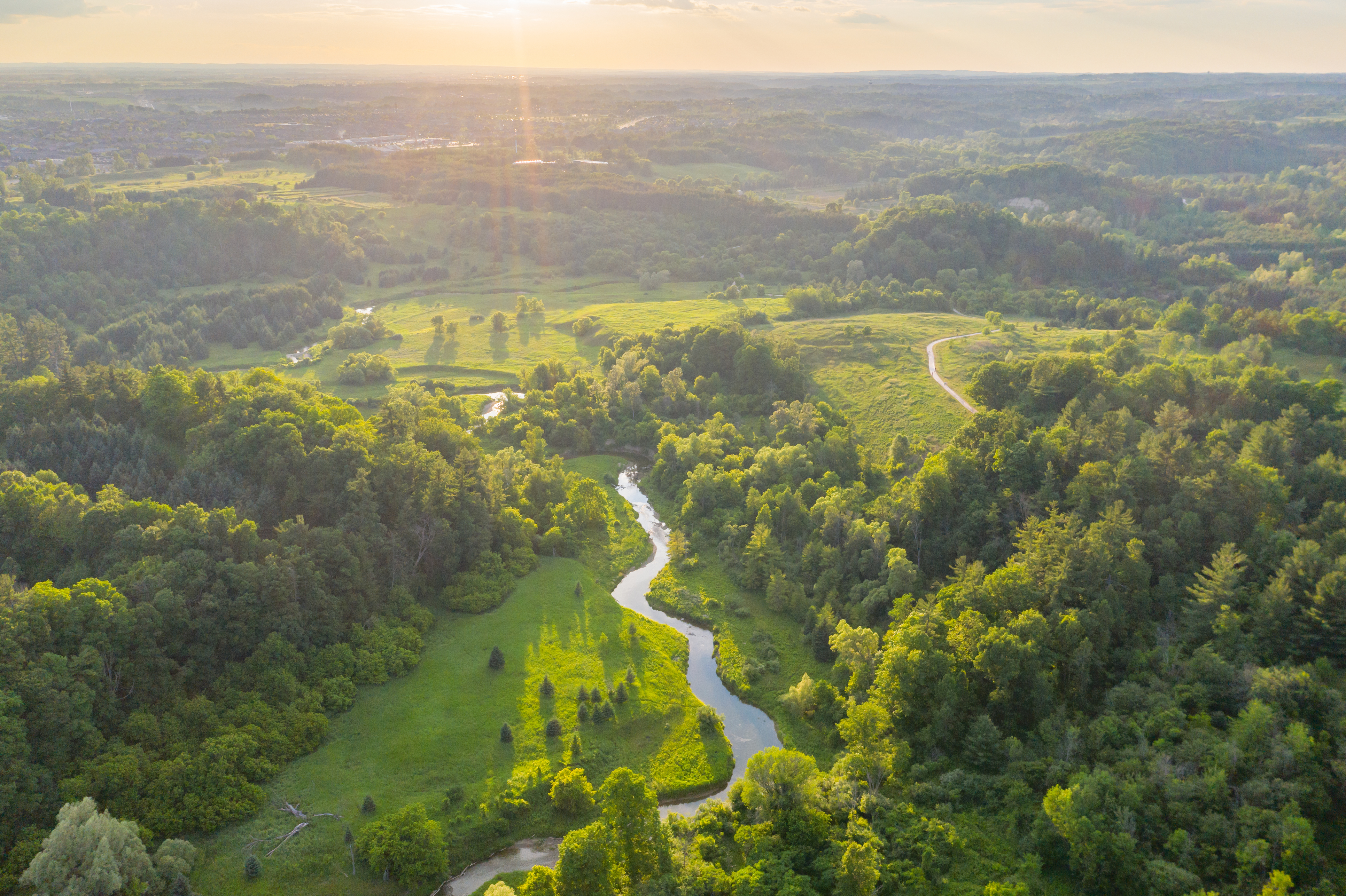 WWF Polska i Novodom – razem na rzecz ochrony środowiska