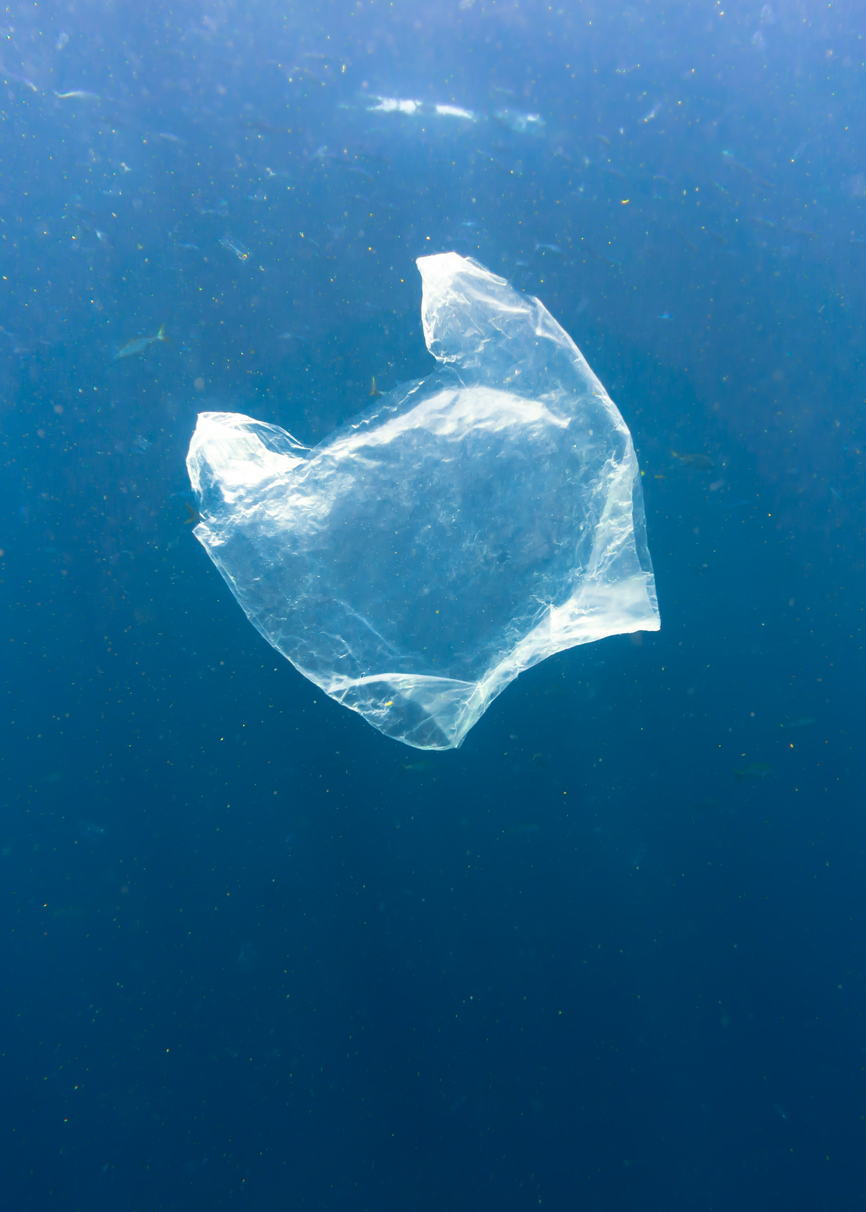 Plastik, Torba, Plastikowa torba