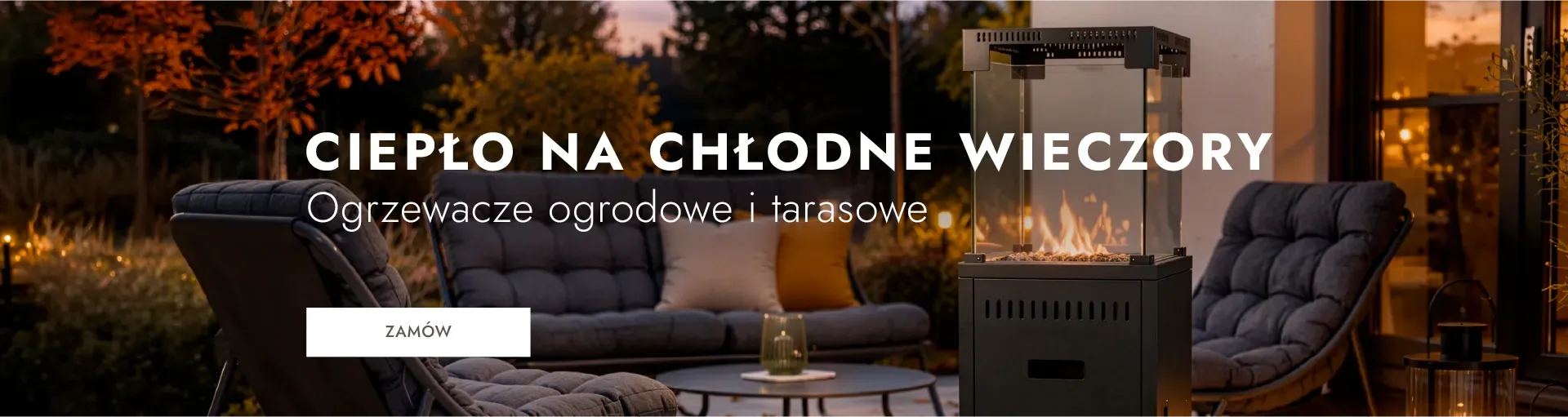 Baner na stronie głównej